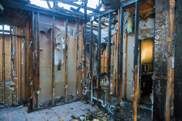 Professional Fire Damage Repair technician working in Afton, WY